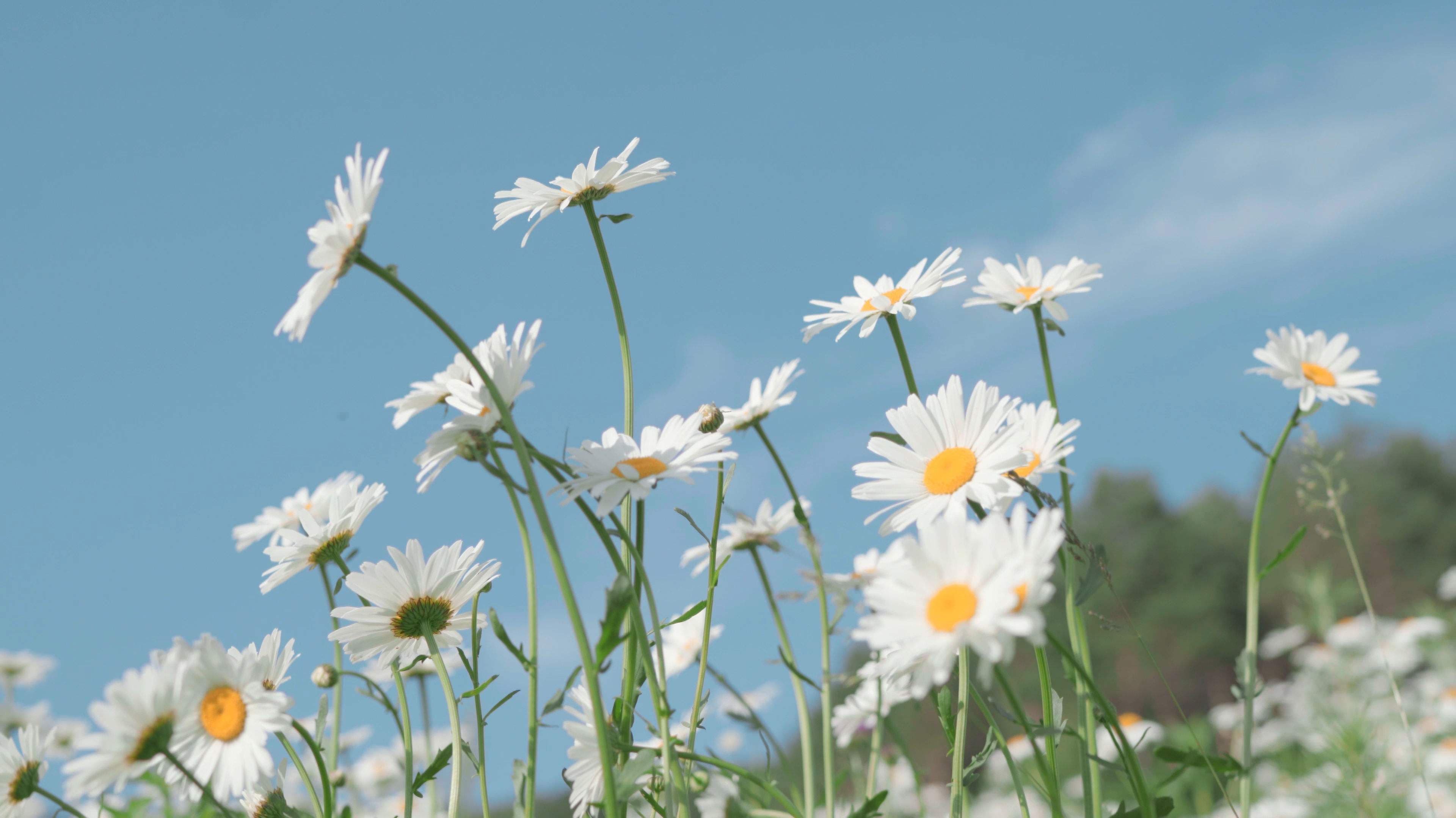 重温java基础知识